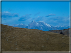 foto Salita dal Monte Tomba a Cima Grappa